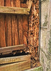 ホームインスペクション 住宅診断サービスで問題点をチェック